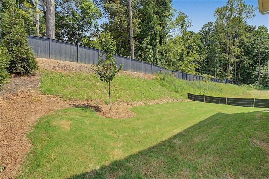 Natural landscape and outdoor views near Sawmill Creek in Mableton (Image 45).