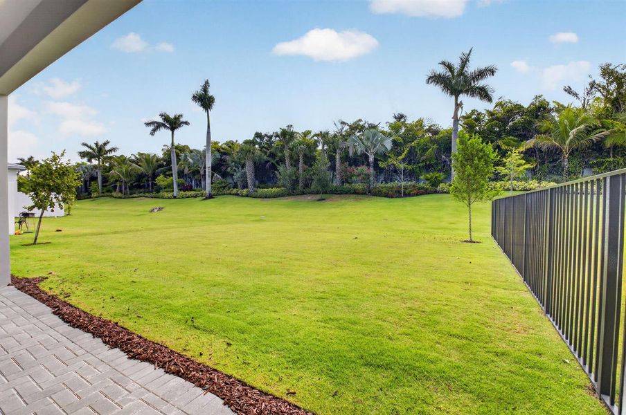 Backyard Backyard