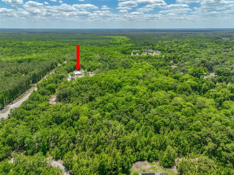 Natural landscape and outdoor views near  in Pierson (Image 43).