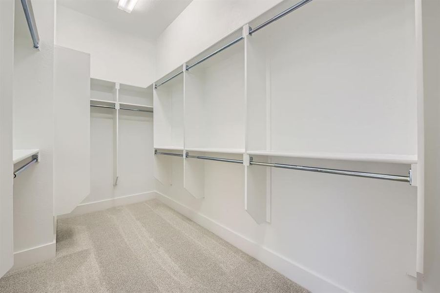 Walk in closet featuring light colored carpet
