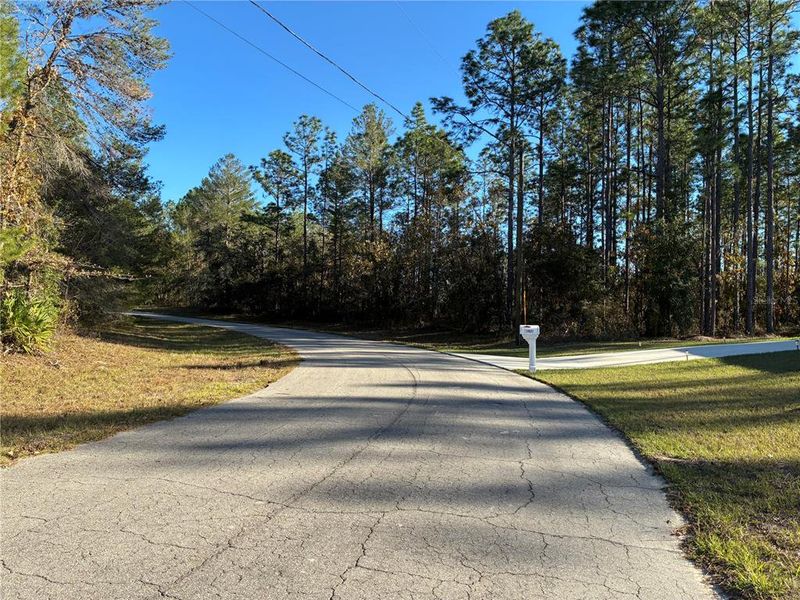 Natural landscape and outdoor views near  in Ocala (Image 24).