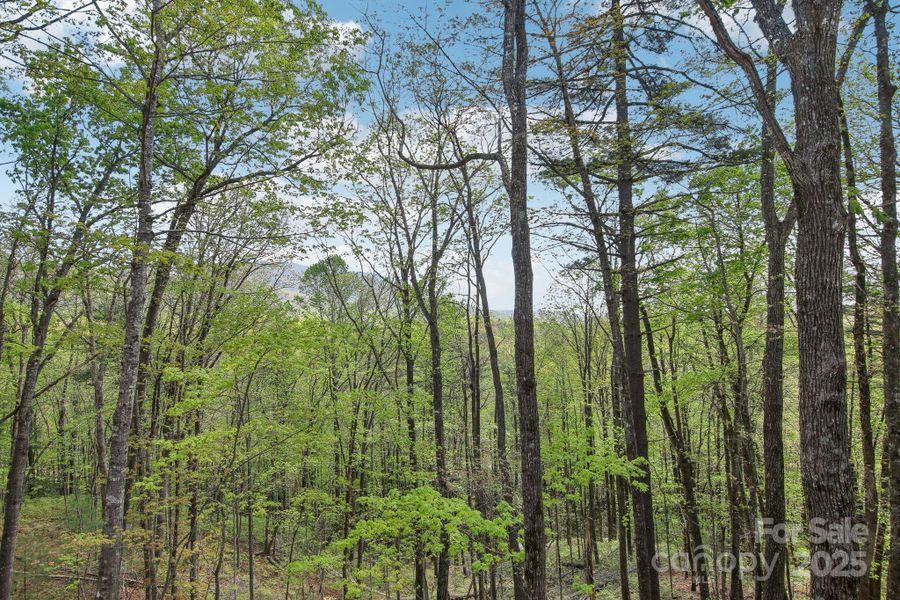 Image 42 of a home in . Image 42 of a home in .