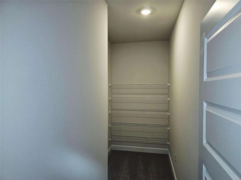 Spacious, unfurnished interior of a new home in Scarlett Place, Bowdon (Image 8).