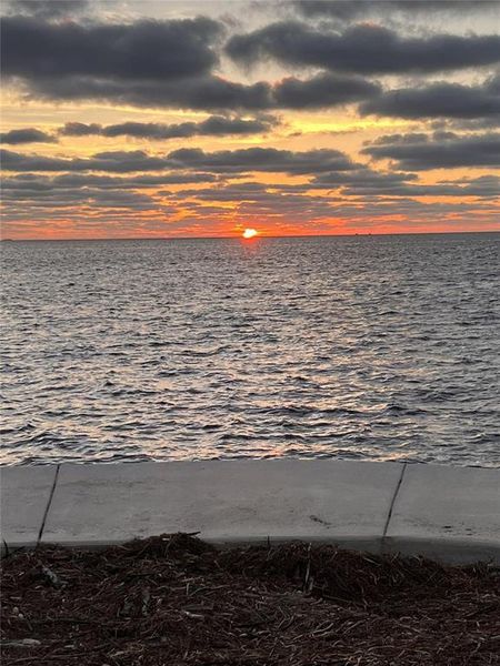 Natural landscape and outdoor views near  in New Port Richey (Image 5).