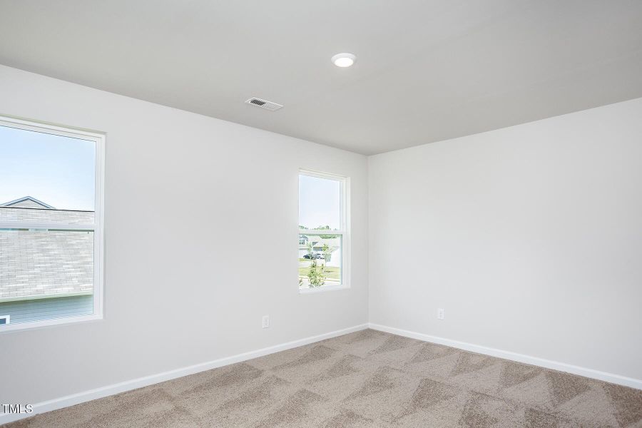 Southeast_Birch_L_019