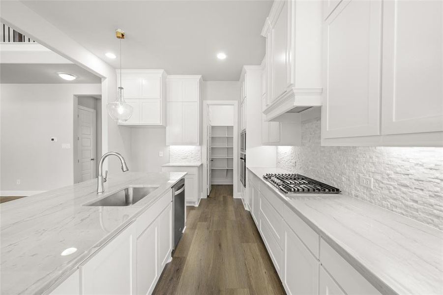 1000 Tall Meadow 1000 Tall Meadow