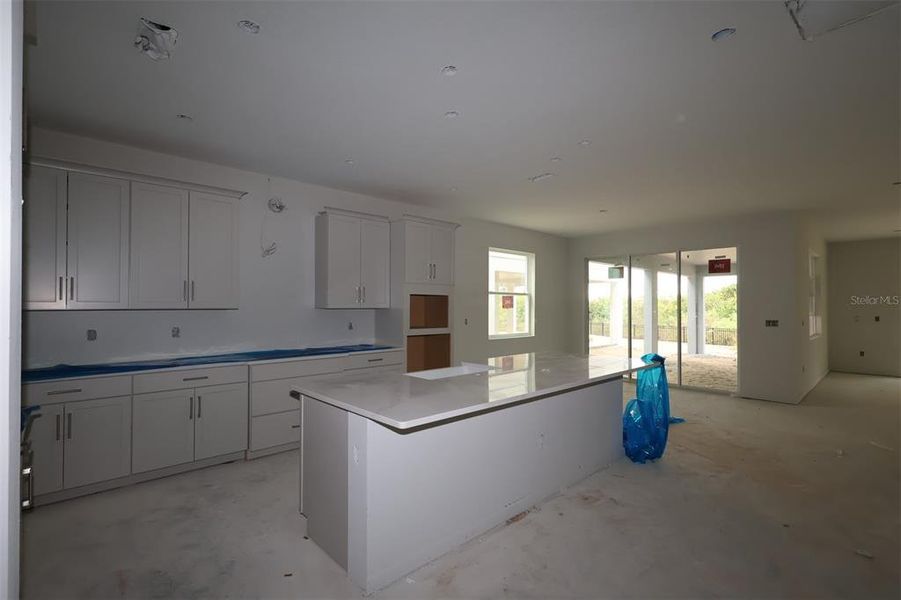 In-progress construction of a new home in Lake Star at Ovation, Winter Garden, FL (Image 22).