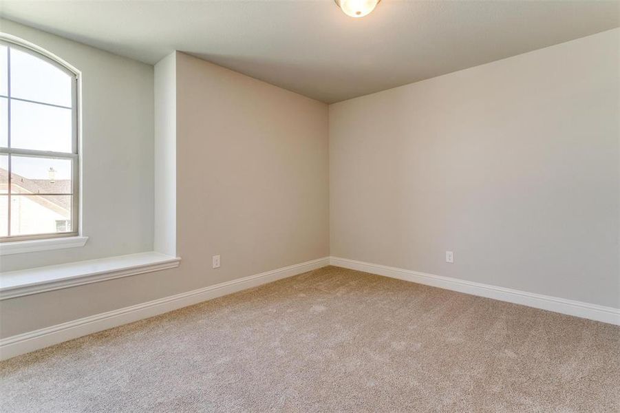 Spare room featuring a wealth of natural light and light colored carpet