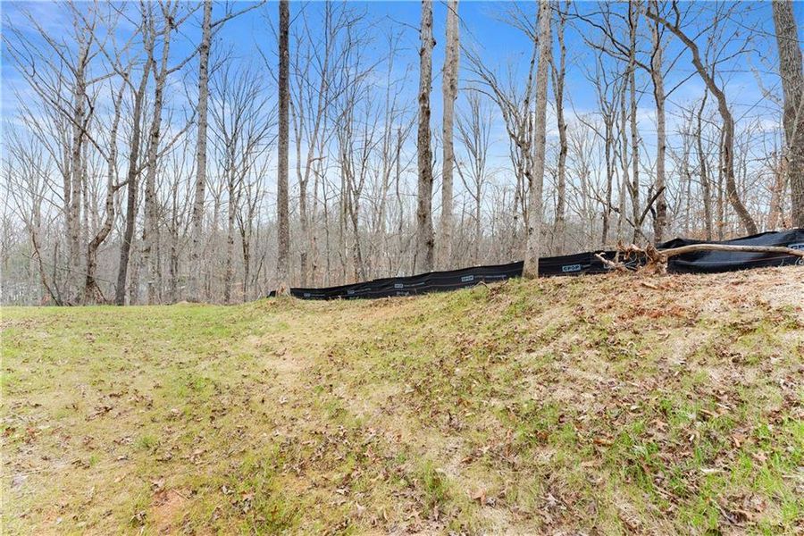Natural landscape and outdoor views near  in Cleveland (Image 62).