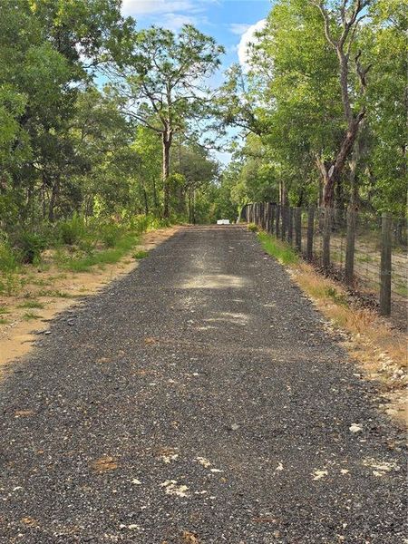 Natural landscape and outdoor views near in Weeki Wachee (Image 61). Natural landscape and outdoor views near in Weeki Wachee (Image 61).