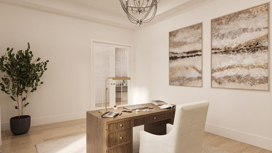 Study - Virtual Rendering