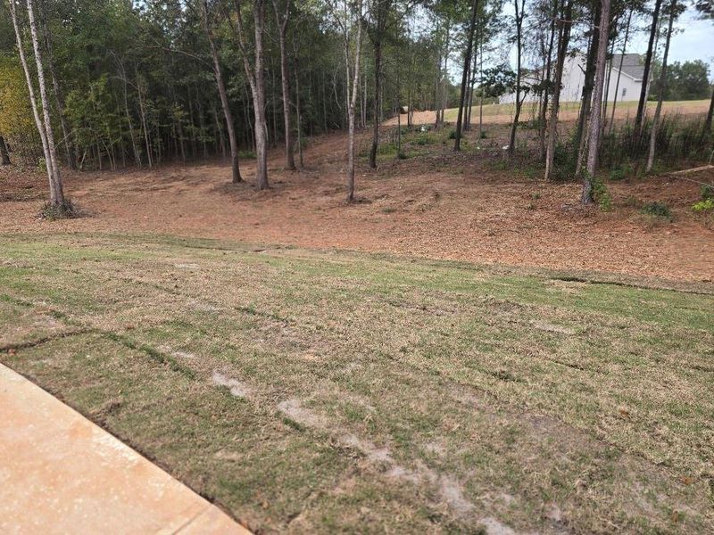 Natural landscape and outdoor views near Waters Edge in Mansfield (Image 16).