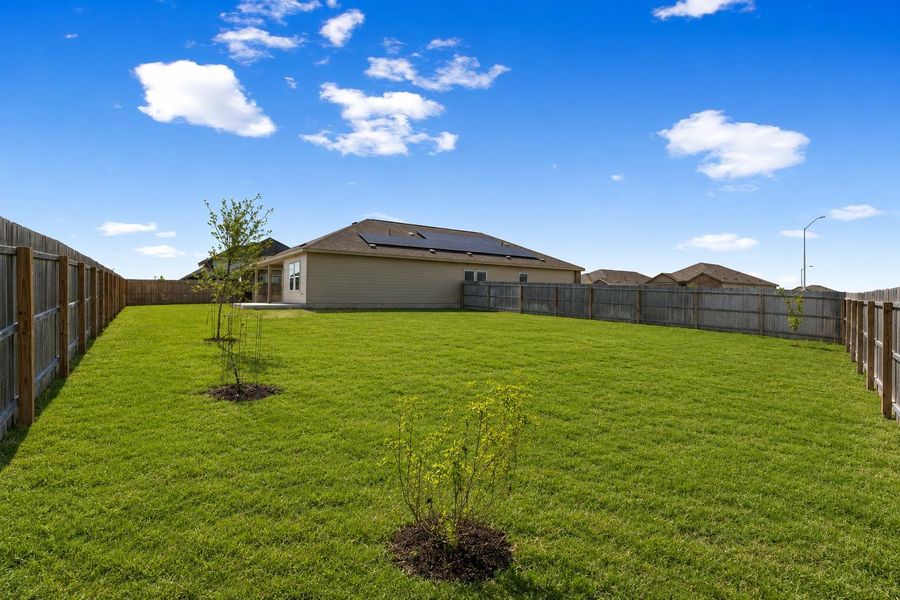 AI enhanced green lawn