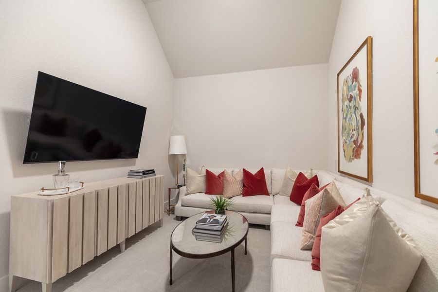 Representative Entertainment Room - some options shown Representative Entertainment Room - some options shown