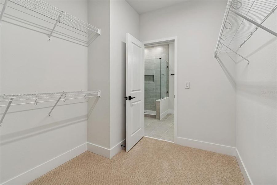 Spacious, unfurnished interior of a new home in Apex at Seminole Heights, Tampa (Image 27). Spacious, unfurnished interior of a new home in Apex at Seminole Heights, Tampa (Image 27).