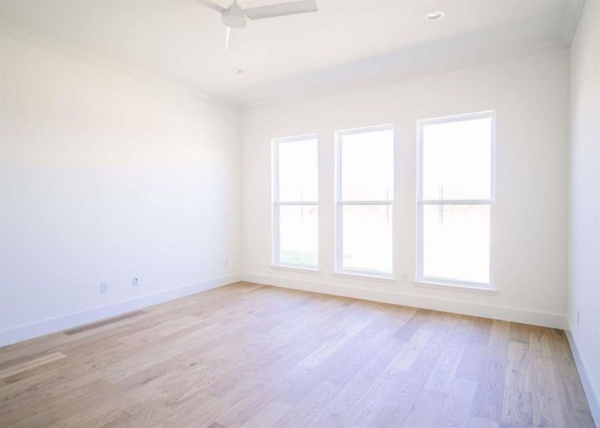 Empty room with light wood-type flooring, ceiling fan, and crown molding