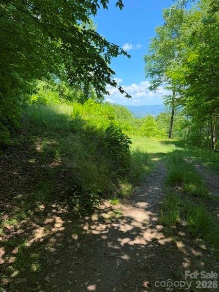 Natural landscape and outdoor views near  in Maggie Valley (Image 19).