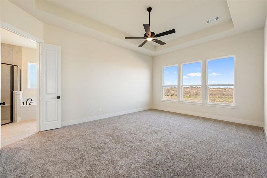 Unfurnished room featuring a tray ceiling, plenty of natural light, and light colored carpet