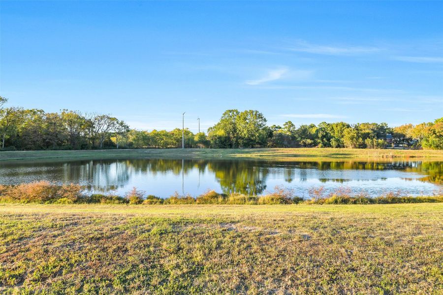 Natural landscape and outdoor views near Summerwood Trails in Willis (Image 25). Natural landscape and outdoor views near Summerwood Trails in Willis (Image 25).