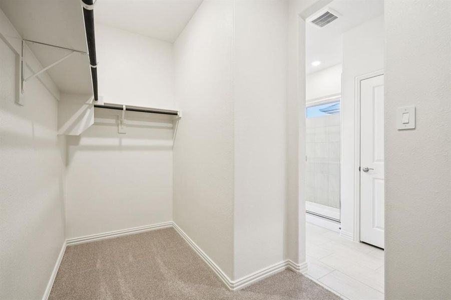 Spacious, unfurnished interior of a new home in Lakehaven - Spring Series, Farmersville (Image 31).