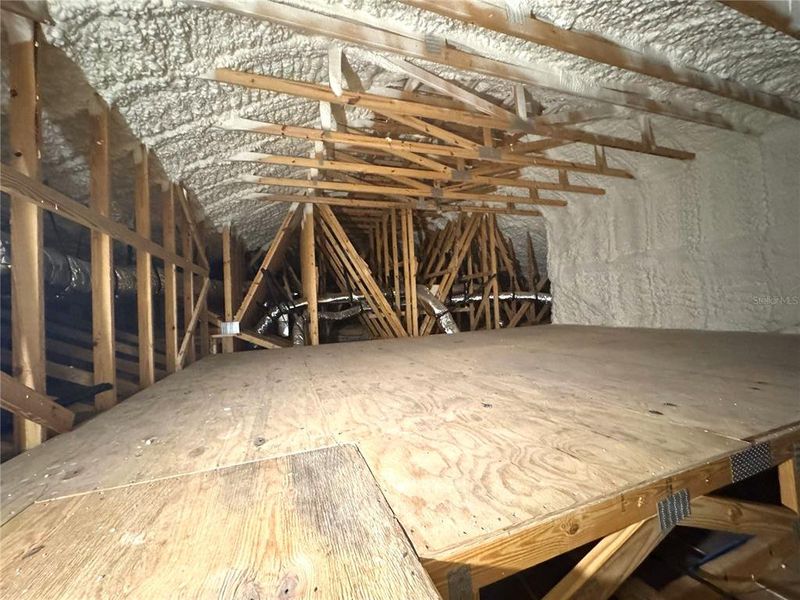 Large Attic Space