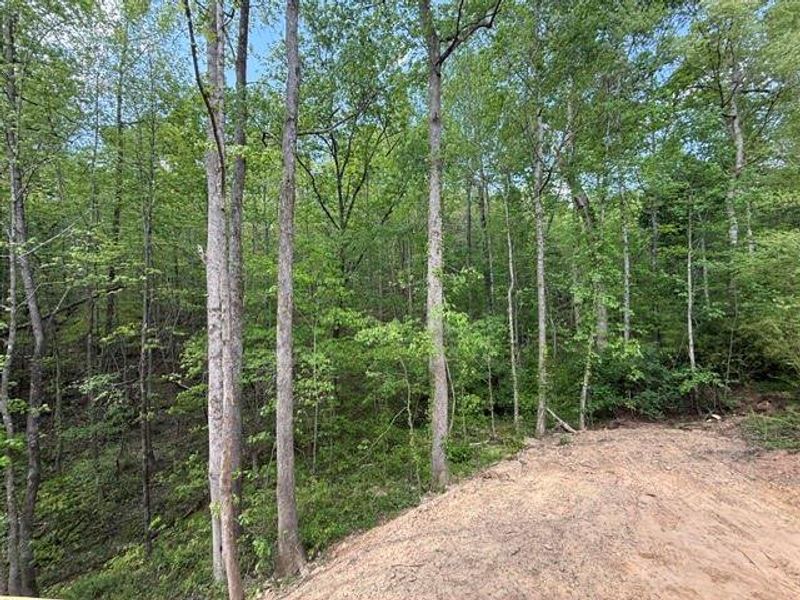 Natural landscape and outdoor views near  in Jasper (Image 38).