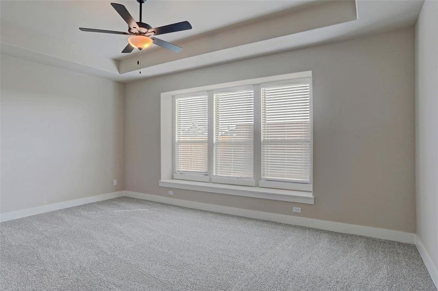 Carpeted spare room featuring a raised ceiling and ceiling fan