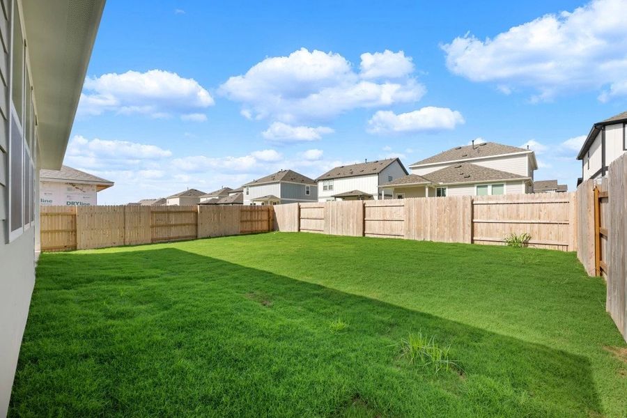 Backyard