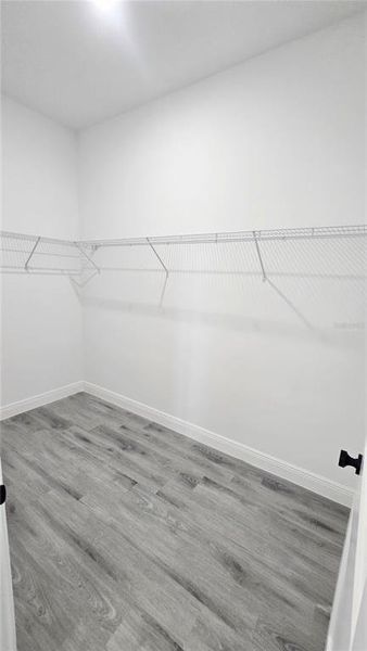 Spacious, unfurnished interior of a new home in , Ocala (Image 36).