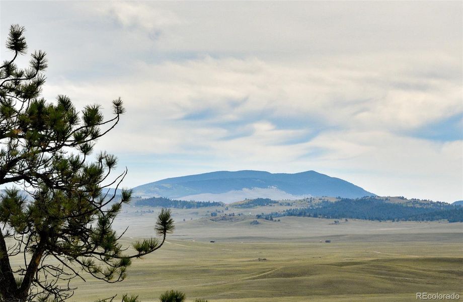 Expansive Views Expansive Views