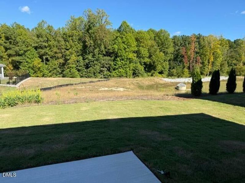 Natural landscape and outdoor views near The Walk at East Village in Clayton (Image 17).