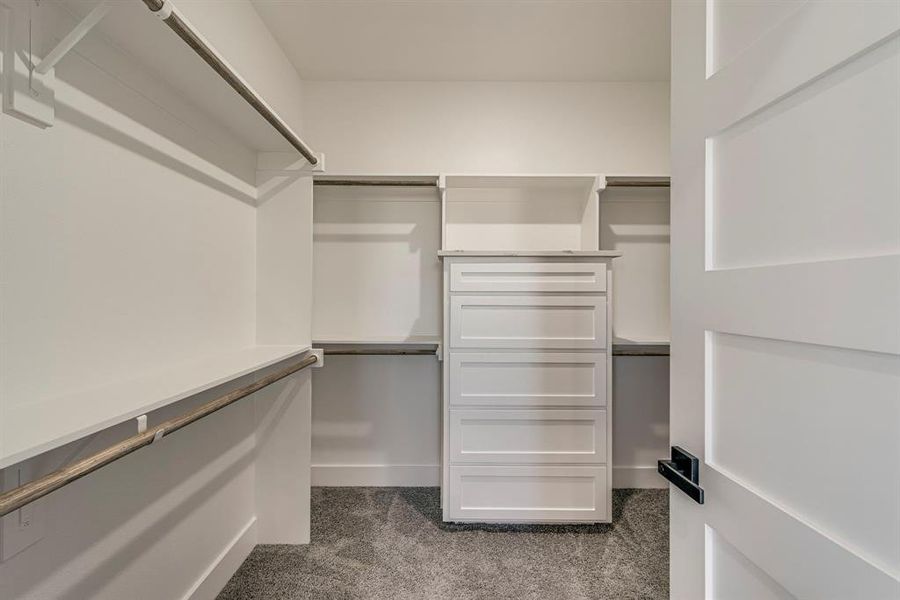 Spacious closet with dark colored carpet