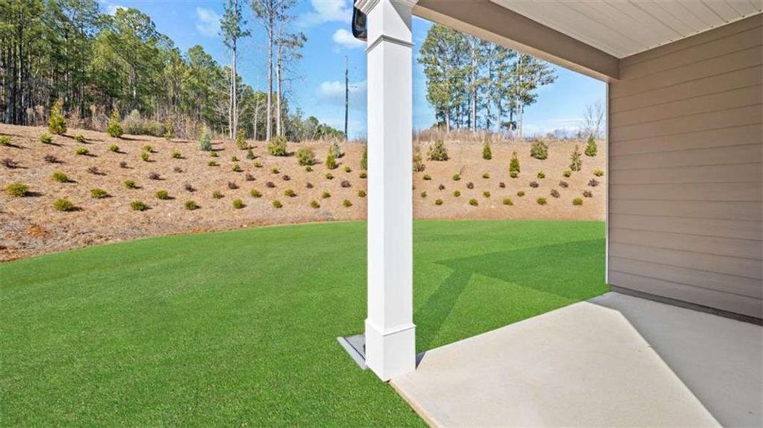 Exterior details and patio area of a home in Poplar Preserve, Newnan (Image 16).