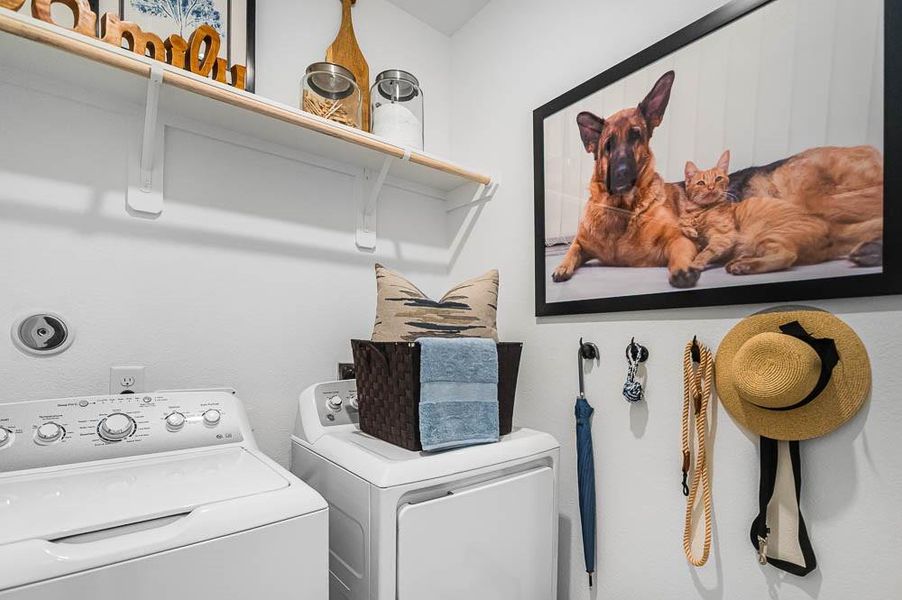 Representative Photo