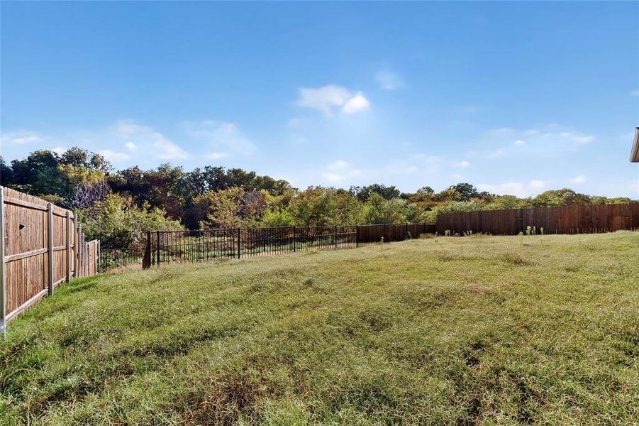 Fenced backyard with a forest view