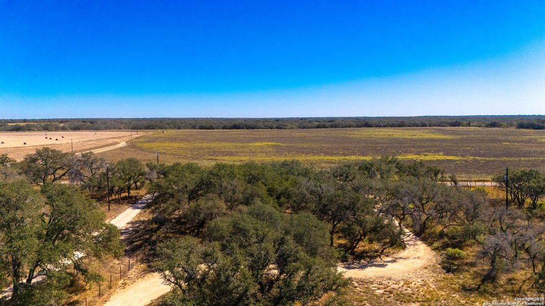 Natural landscape and outdoor views near  in Devine (Image 20).