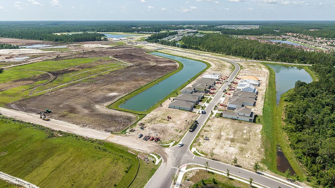 Site preparation for new homesites in Ardisia Park, New Smyrna Beach (Image 15).
