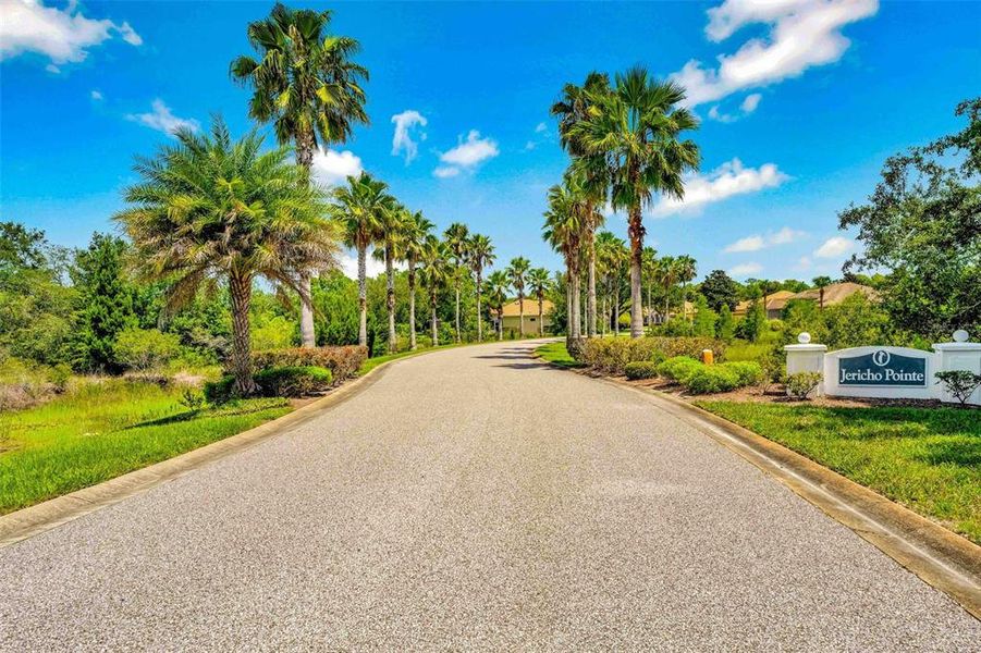 Natural landscape and outdoor views near  in Weeki Wachee (Image 54).