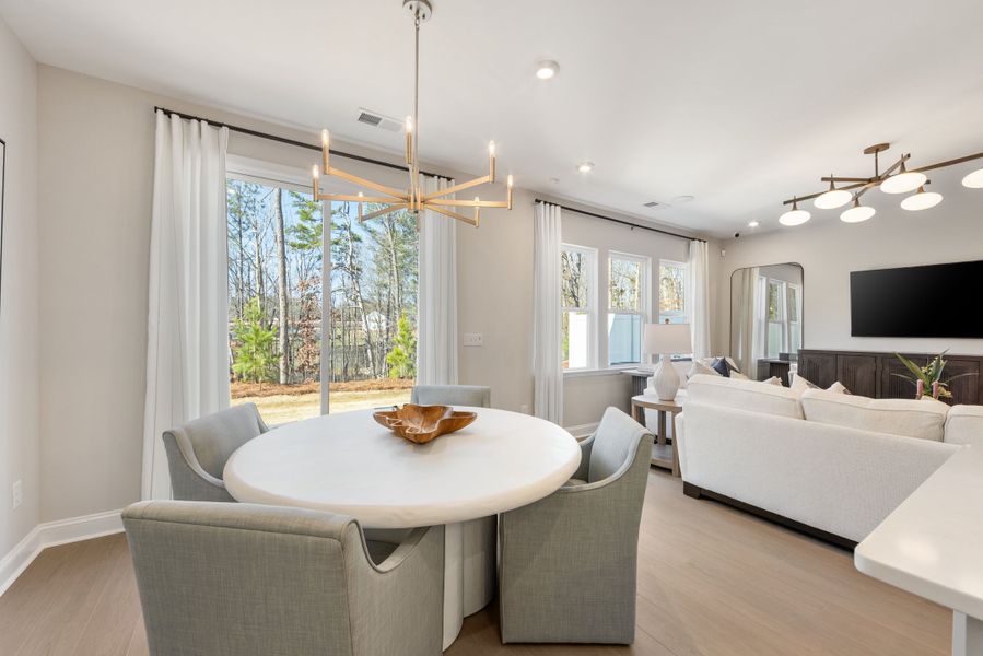 Image 18 representing the Falcon by Tri Pointe Homes in Southbridge, Fort Mill, SC.