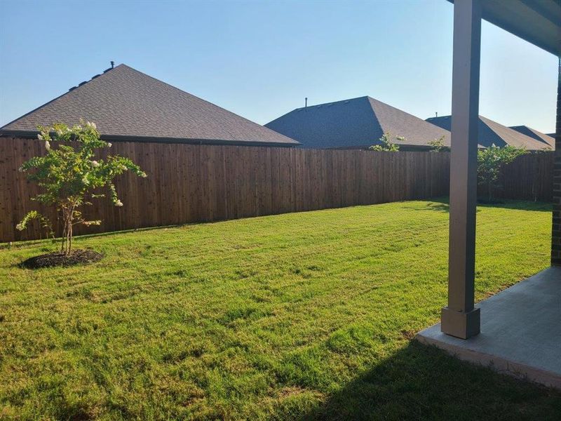 Large privacy fenced backyard