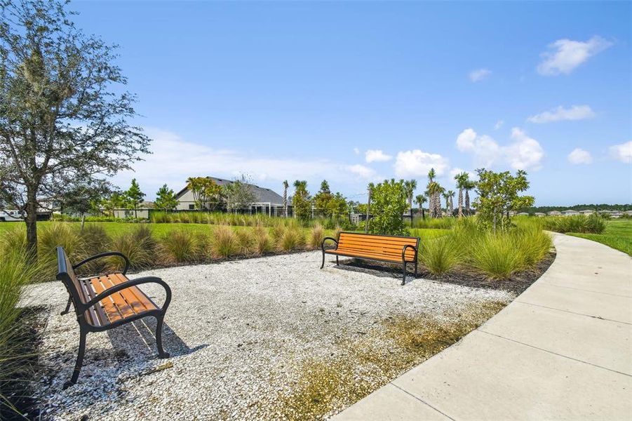 Community amenities in , Zephyrhills (Image 57). Community amenities in , Zephyrhills (Image 57).