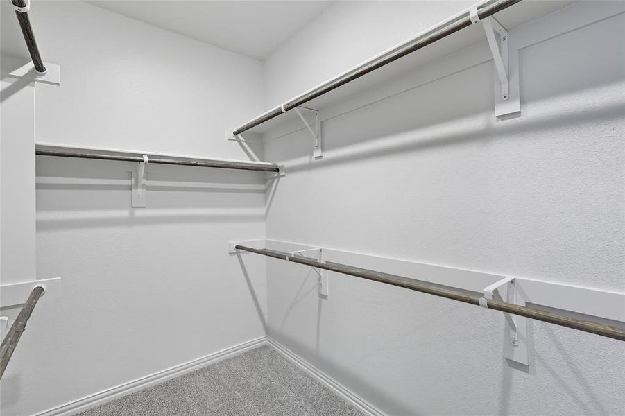 Walk in closet featuring carpet floors Walk in closet featuring carpet floors