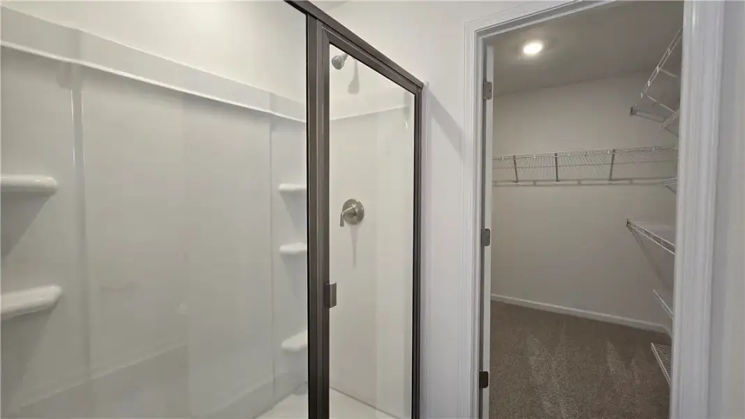 A glass-enclosed shower stands adjacent to a funct