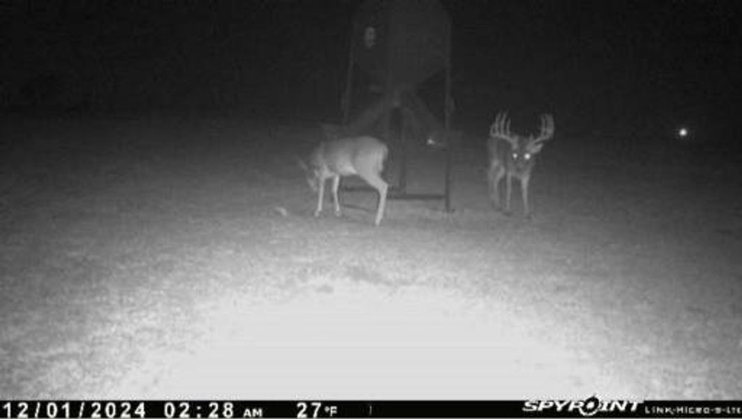 Image 29 of a home in .