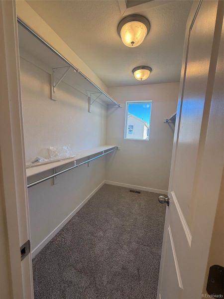 Spacious, unfurnished interior of a new home in Sky Ranch – Uptown Collection, Watkins (Image 13).