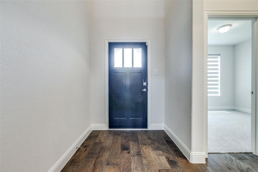 Entryway with dark wood finished floors and baseboards