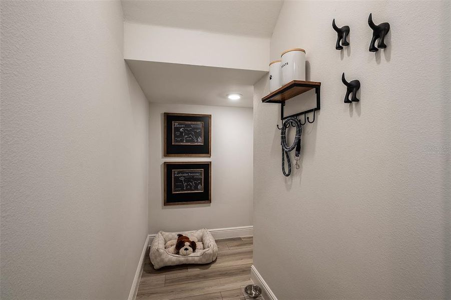 virtually staged/model home