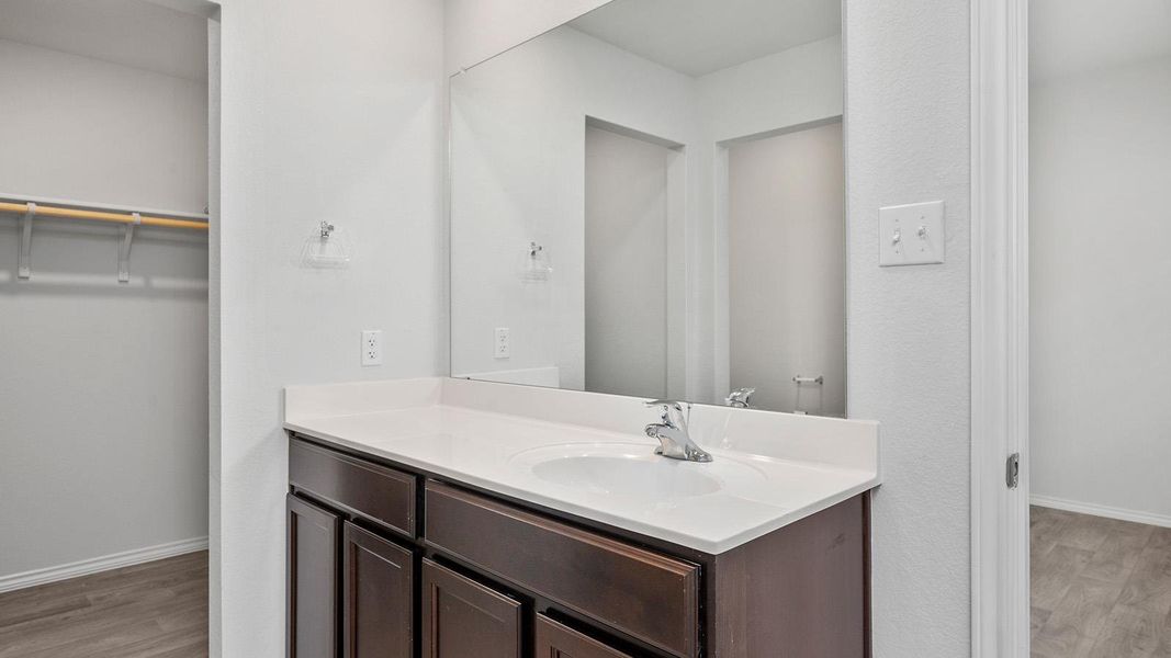 Bathroom featuring light wood-style floors, vanity, and a walk in closet