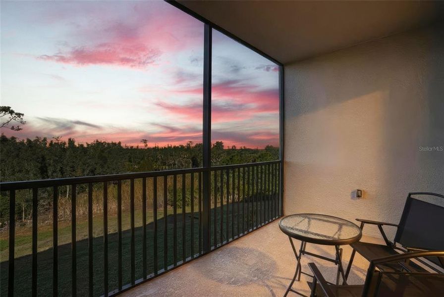 Exterior details and patio area of a home in Heritage Landing, Punta Gorda (Image 29).
