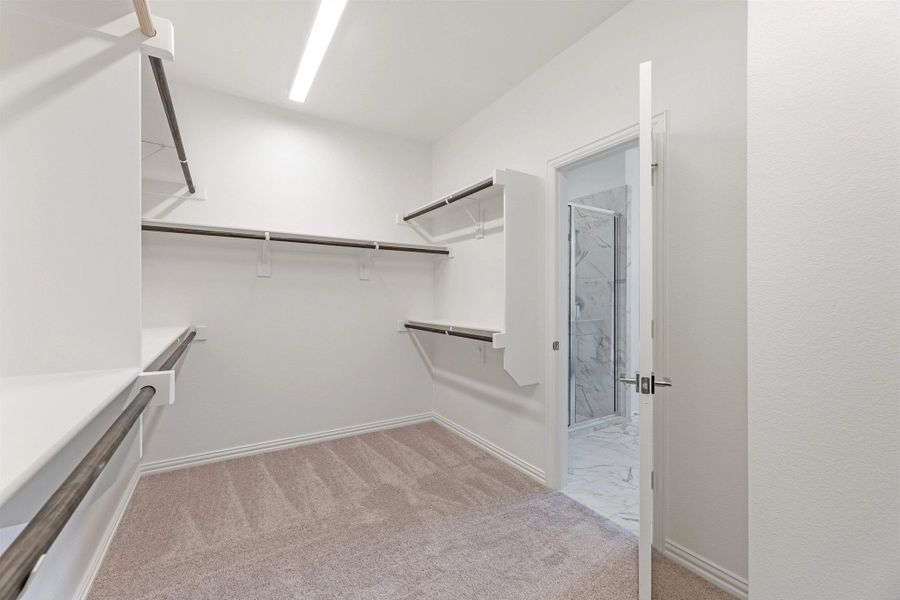 Tyler Home Plan by Ashton Woods